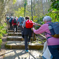 P1190232   Al Castello.
